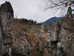 -千岛湖石林