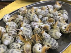 花螺-蚝专家(北滘店)