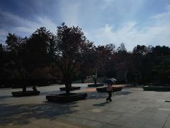 -大雁塔北广场音乐喷泉