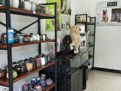 -彩虹桥宠物火化殡葬善终服务(金乐大厦店)