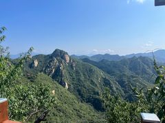 -大岭沟猕猴桃谷风景区