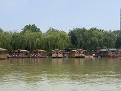 -泗洪洪泽湖湿地景区