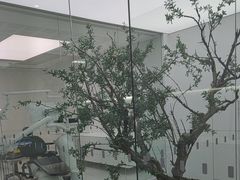 -极简口腔(总院)