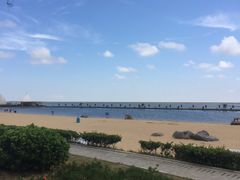 -碧海金沙
