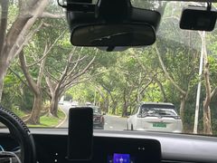 -三亚亚龙湾万豪度假酒店