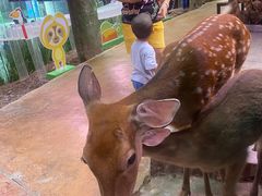 -正佳雨林生态植物园