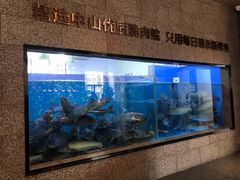 水产区-淘米捞·米汤脆鲩鱼火锅(福田皇岗店)