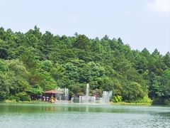 -广州白江湖森林公园