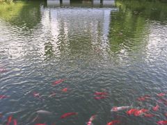 -春兰国宾馆(凤城河风景区老街店)