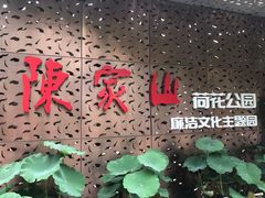 -陈家山荷花公园
