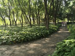 -玲珑塔公园