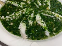 荠菜松茸烩黄鱼-老人和饭店(淮海中路店)