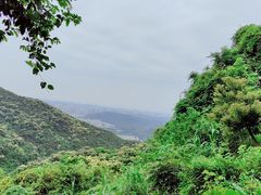 -梧桐山风景名胜区