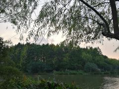 景点-新江湾城公园