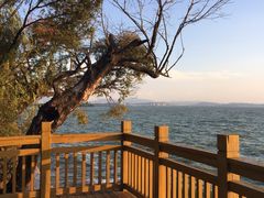 -呈贡滇池生态湿地公园