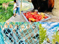 -水上乐园·欢乐世界