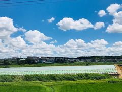 -鍋ぞう(新宿西口店)