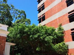 -香港大学