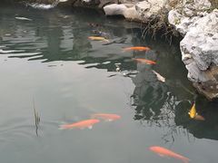 -清晏园