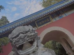 -灵谷景区