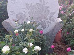 -人民公园(罗湖区)