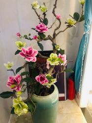 点击看大图 -玛妮雅科技纤体美容