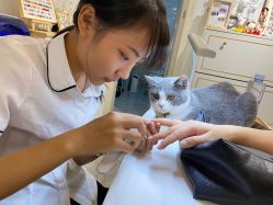 -Rena nail 美甲美睫私人定制
