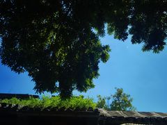 -Tubestation站点比萨(五道营店)