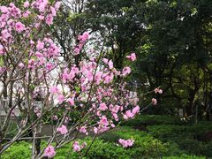 -乌山风景区