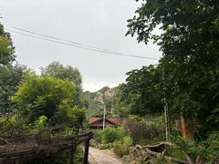 -大岭沟猕猴桃谷风景区