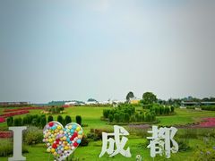 -空港花田景区
