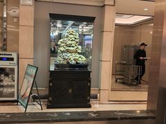 -粤珍轩·家宴·广式茶点(新城广场店)