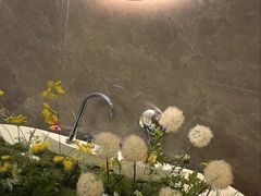 -小仙女采耳·按摩·SPA(深圳旗舰店)