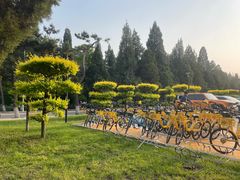 -东北大学(南湖校区)