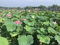 -北京宽沟会议中心