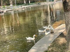 -西安市长乐公园