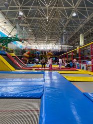 -爱丽丝奇幻乐园