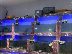 水产区-长平肥姐白粥·海鲜打冷