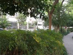 -古荡新村东区