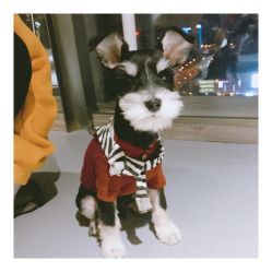 -WOULP舞铺·舞蹈室