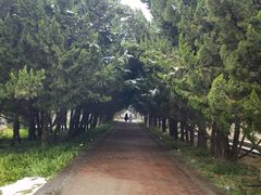 -洛阳市隋唐城遗址植物园