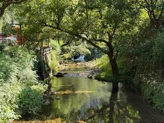 -雁荡山大龙湫景区