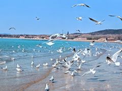 -老虎石海上公园