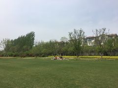 -思念果岭悦温泉