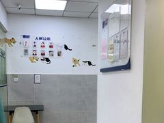 -宠颐生嘉德动物医院