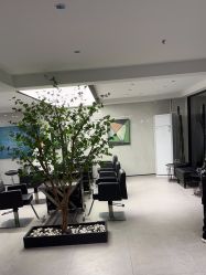-付军剪艺JF ProSalon