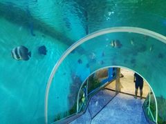 -瑞德姆美人鱼海底演艺主题餐厅(亚龙湾店)