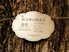 -宝通禅寺