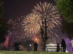 -Twin Tails Brewpub双尾精酿餐吧(八坼店)