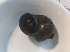 -食爺炭炉鸡煲·烧烤